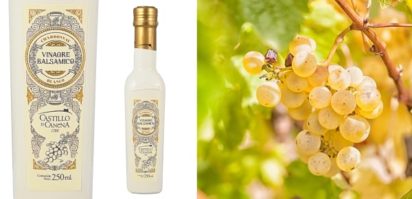 cdc-vinagro-clanek-min
